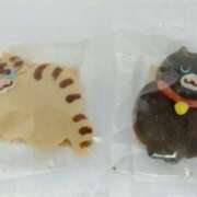 ヒメ日記 2026/05/25 13:16 投稿 みなと オトナのハンドメイド