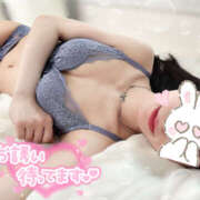 ヒメ日記 2025/10/24 10:10 投稿 りな オトナのハンドメイド