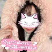 ヒメ日記 2025/12/14 10:17 投稿 りな オトナのハンドメイド