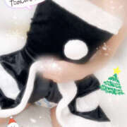 ヒメ日記 2024/12/23 23:07 投稿 しき オトナのハンドメイド