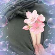 ヒメ日記 2025/09/18 12:21 投稿 かぐら 鹿児島ちゃんこ 天文館店