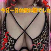 ヒメ日記 2025/11/13 17:02 投稿 かぐら 鹿児島ちゃんこ 天文館店