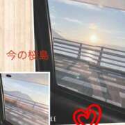 ヒメ日記 2026/02/10 07:44 投稿 かぐら 鹿児島ちゃんこ 天文館店