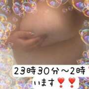 ヒメ日記 2024/12/25 00:40 投稿 みいあ いわき小名浜ちゃんこ