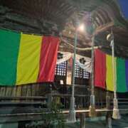 ヒメ日記 2025/01/02 22:43 投稿 みいあ いわき小名浜ちゃんこ