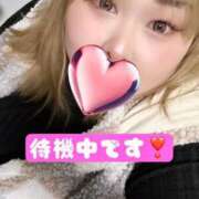 ヒメ日記 2025/02/21 22:13 投稿 みいあ いわき小名浜ちゃんこ