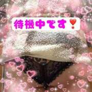 ヒメ日記 2025/02/26 00:53 投稿 みいあ いわき小名浜ちゃんこ