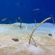 ヒメ日記 2025/03/06 08:03 投稿 みいあ いわき小名浜ちゃんこ