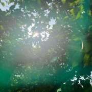 ヒメ日記 2025/03/08 08:13 投稿 みいあ いわき小名浜ちゃんこ