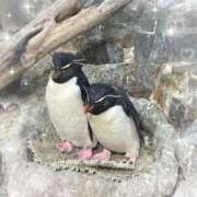 ヒメ日記 2025/07/27 14:06 投稿 みんと 池袋あられ