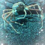 ヒメ日記 2025/08/09 13:06 投稿 ゆりな 池袋あられ