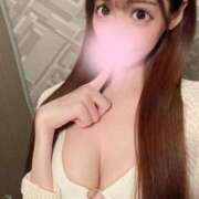 堀田まゆ 出勤🦖🐾 ブルーバード