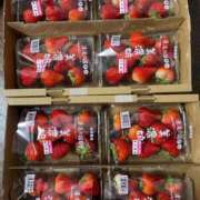 ヒメ日記 2025/04/02 22:48 投稿 まいこ. クラブA