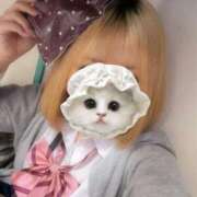 ヒメ日記 2025/02/14 08:58 投稿 あやの ハンドキャンパス池袋