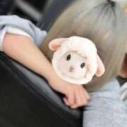 ヒメ日記 2025/04/12 08:16 投稿 あやの ハンドキャンパス池袋