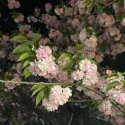 ヒメ日記 2025/04/17 20:18 投稿 ゆな 京都回春性感マッサージ倶楽部