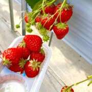 ヒメ日記 2025/03/14 22:46 投稿 椿 MCロイヤル