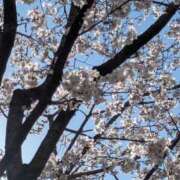 ヒメ日記 2025/03/28 10:20 投稿 みさこ 奥様特急　池袋・大塚店