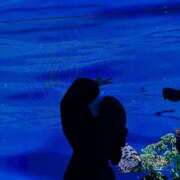 ヒメ日記 2025/02/09 14:59 投稿 ノア Aroma De Pari（アロマ・デ・パリ）