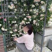 ヒメ日記 2025/05/25 17:35 投稿 ノア Aroma De Pari（アロマ・デ・パリ）