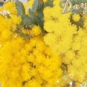 ヒメ日記 2025/03/25 12:38 投稿 くみ 熟女の風俗最終章 高崎店