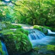 ヒメ日記 2025/08/29 16:48 投稿 くみ 熟女の風俗最終章 高崎店