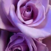 ヒメ日記 2026/01/05 11:18 投稿 くみ 熟女の風俗最終章 高崎店