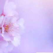 ヒメ日記 2026/02/27 16:08 投稿 くみ 熟女の風俗最終章 高崎店