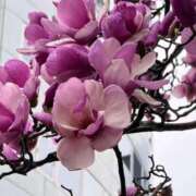 ヒメ日記 2026/03/23 07:58 投稿 くみ 熟女の風俗最終章 高崎店