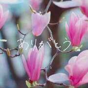 ヒメ日記 2026/03/24 15:08 投稿 くみ 熟女の風俗最終章 高崎店