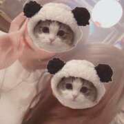 ヒメ日記 2025/05/30 11:58 投稿 まひろ 大塚アテネ