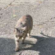 ヒメ日記 2025/08/19 17:58 投稿 まひろ 大塚アテネ