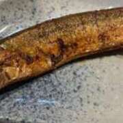 ヒメ日記 2025/09/04 23:08 投稿 まひろ 大塚アテネ