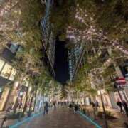 ヒメ日記 2024/12/19 18:54 投稿 みさこ 奥様特急　上野・鶯谷店