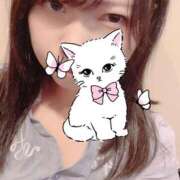 ヒメ日記 2025/07/24 17:43 投稿 あずき マリン土浦本店