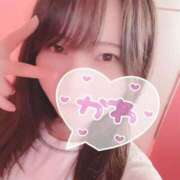 ヒメ日記 2025/07/31 11:31 投稿 あずき マリン土浦本店