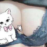 ヒメ日記 2025/11/08 13:02 投稿 あずき マリン土浦本店