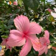 ヒメ日記 2025/07/22 15:23 投稿 せな あげまん 西中島店