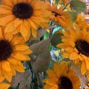 ヒメ日記 2025/07/27 08:26 投稿 せな あげまん 西中島店