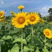 ヒメ日記 2025/08/02 23:46 投稿 せな あげまん 西中島店