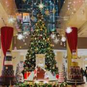 ヒメ日記 2025/12/20 13:55 投稿 せな あげまん 西中島店