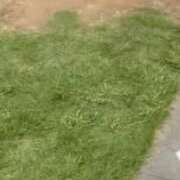 ヒメ日記 2025/06/25 03:07 投稿 のん アート姫