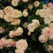 ヒメ日記 2025/06/05 18:56 投稿 さら 逆痴漢