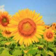 ヒメ日記 2025/08/19 18:42 投稿 さら 逆痴漢