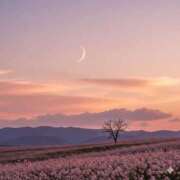 よる ✨🌙✨ 白いぽっちゃりさん仙台店