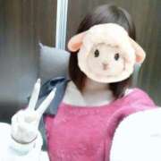 よる 🩷🐰🩷 白いぽっちゃりさん仙台店