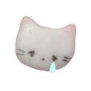 ヒメ日記 2025/02/26 23:24 投稿 うた 渋谷平成女学園