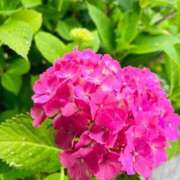 ヒメ日記 2025/06/24 19:32 投稿 はるか マリン千姫