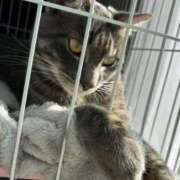 ヒメ日記 2025/04/06 08:30 投稿 ユナ ドMなバニーちゃん水戸店