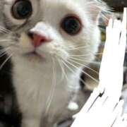 ヒメ日記 2025/05/01 09:00 投稿 ユナ ドMなバニーちゃん水戸店